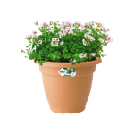 green basics campana 30cm terre cuite doux